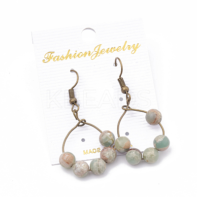 Natural Aqua Terra Jasper Dangle Earrings EJEW-S202-011B-1