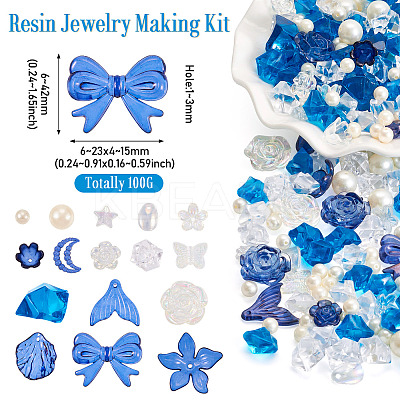 100G Resin Jewelry Making Finding Kits FIND-TA0004-42B-1