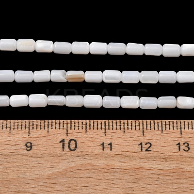 Natural Freshwater Shell Beads Strands SH-CBA2978-21A-1