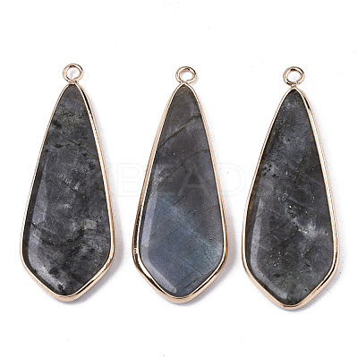 Natural Labradorite Pendants G-S359-108A-1