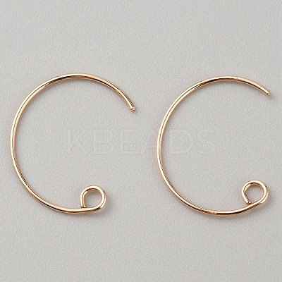 Brass Earring Hooks KK-WH0044-141C-G-1