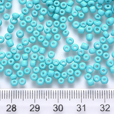 6/0 Baking Paint Glass Round Seed Beads SEED-S036-01C-13-1