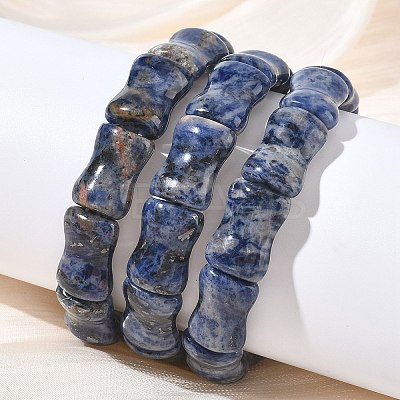 Bamboo Natural Sodalite Beads Stretch Bracelets for Women Men BJEW-K304-01E-1