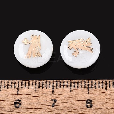 Natural Freshwater Shell Beads SHEL-N037-02J-G-1