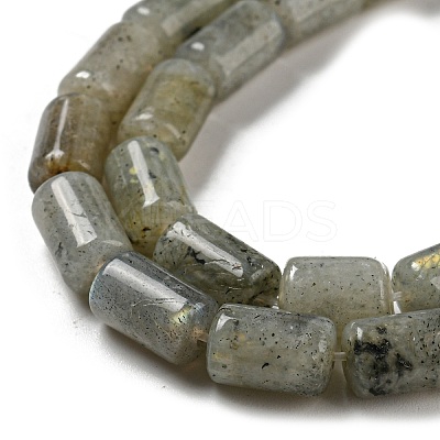 Natural Labradorite Beads Strands G-M420-E01-03-1