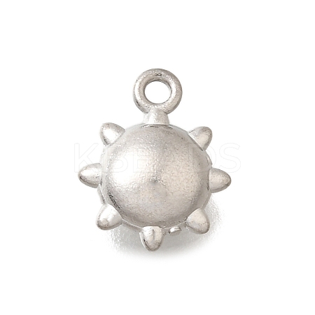 304 Stainless Steel Charms STAS-D310-06P-01-1