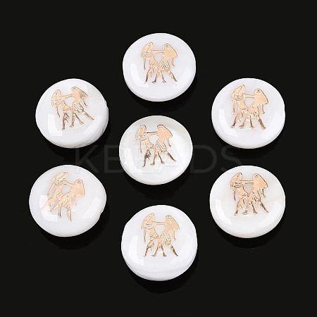 Natural Freshwater Shell Beads SHEL-N037-02G-G-1