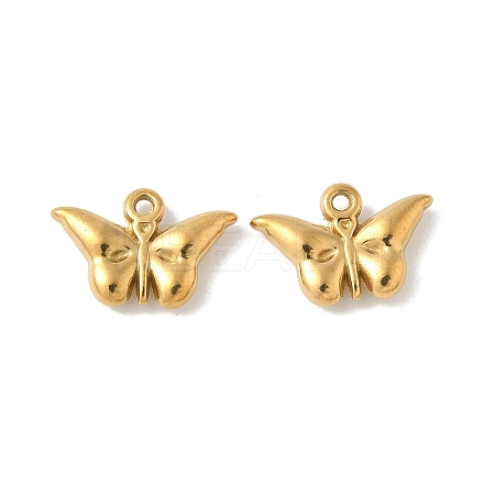 304 Stainless Steel Charms STAS-F320-03C-G-1