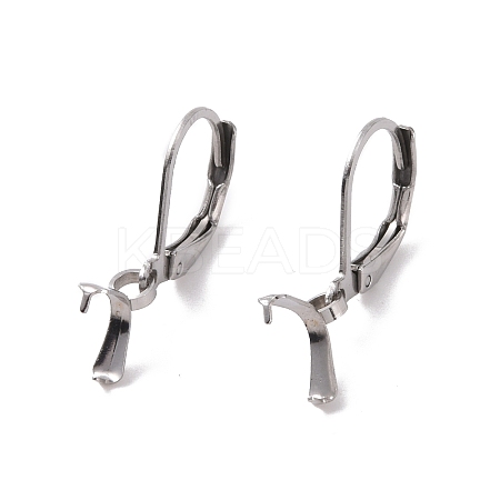 Tarnish Resistant 304 Stainless Steel Leverback Earring Findings X-STAS-G283-01P-1