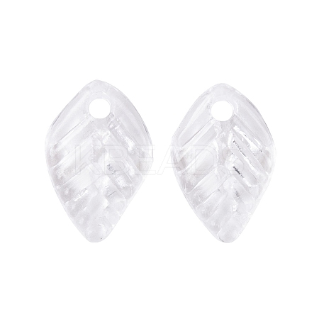 Transparent Acrylic Charms TACR-G050-02D-1