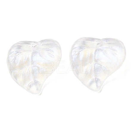 Transparent Acrylic with Glitter Pendants OACR-C016-21-1