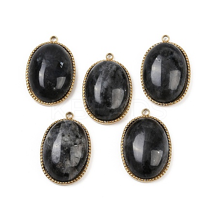 Natural Labradorite Pendants STAS-F322-15G-06-1