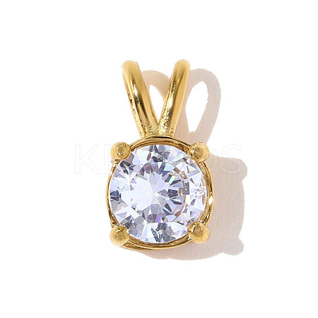 304 Stainless Steel Pave Cubic Zirconia Charms STAS-OY010-13G-01-1