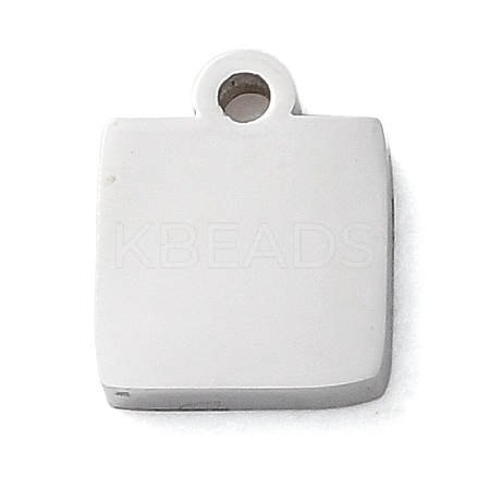 Non-Tarnish 304 Stainless Steel Charms STAS-N104-07P-1