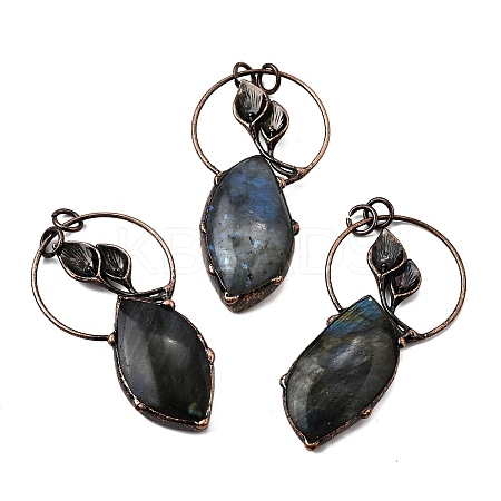 Natural Labradorite Feather Ring with Leaf Big Pendants G-Q350-04A-1