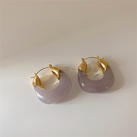 Retro Alloy Resin U-Shaped Hoop Earrings FS-WG1DDE7-04-1