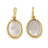304 Stainless Steel Natural Paua Shell/White Shell Charms Ion Plating(IP) STAS-U037-03G-02-1