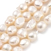 Natural Cultured Freshwater Pearl Beads Strands PEAR-P062-28B-2