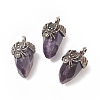 Natural Amethyst Pendants G-C051-03F-1