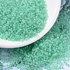 MIYUKI Round Rocailles Beads SEED-JP0008-RR0219-1