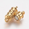Brass Magnetic Clasps with Loops LS-X-MC026-NFG-2