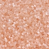 MIYUKI Delica Beads SEED-J020-DB0824-3