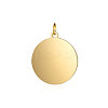 Ion Plating(IP) 304 Stainless Steel Pendants X-STAS-I311-33F-G-1