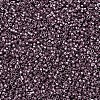 MIYUKI Delica Beads X-SEED-J020-DB0462-3