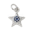 Brass Micro Pave Cubic Zirconia Charms KK-U056-41P-1