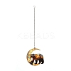 Stained Acrylic & Iron Suncatchers HJEW-F022-01B-3