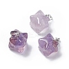 Natural Amethyst Pendants G-C002-02H-1