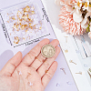 100Pcs 304 Stainless Steel Stud Earring Findings STAS-BBC0004-84-3