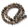 Natural Black Moonstone Beads Strands G-Q183-A01-01-3