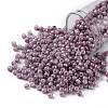 TOHO Round Seed Beads SEED-XTR08-1202-1