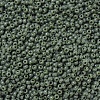 MIYUKI Round Rocailles Beads SEED-G007-RR0501-3