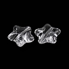 Transparent Acrylic Beads OACR-M011-03-2