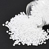 TOHO 8/0 Round Beads SEED-TR08-0041F-1