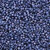 MIYUKI Delica Beads X-SEED-J020-DB2319-2