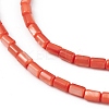 Natural Freshwater Shell Dyed Beads Strands SHEL-M018-12-02-3