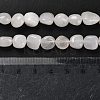 Natural White Jade Beads Strands G-P497-01E-25-5