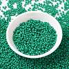 MIYUKI Round Rocailles Beads SEED-X0055-RR4477-2
