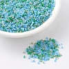 MIYUKI Delica Beads SEED-JP0008-DB2067-1