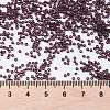 MIYUKI Round Rocailles Beads SEED-JP0010-RR2402-4