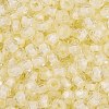 Glass Seed Beads SEED-A032-05I-3