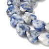 Natural Blue Spot Jasper Beads Strands G-D316-B10-3