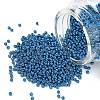 MIYUKI Round Rocailles Beads SEED-G007-RR5116-1
