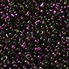 Spray Painted Glass Seed Beads SEED-F005-07A-03-3