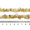 Natural Yellow Opal Chip Beads Strands G-G905-15-5