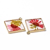 Transparent Clear Epoxy Resin Pendants RESI-L036-11KCG-02-3