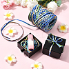 Segment Dyed Raffia Paper Cords for DIY Craft OCOR-WH20020-27B-5